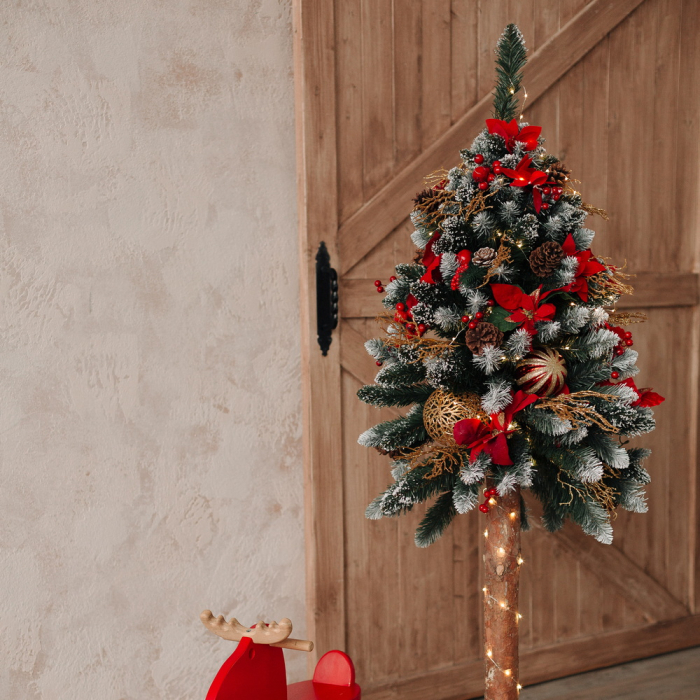 Brad Diamond Fir, 100 cm [7]