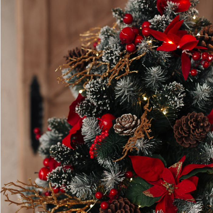 Brad Diamond Fir, 100 cm [5]