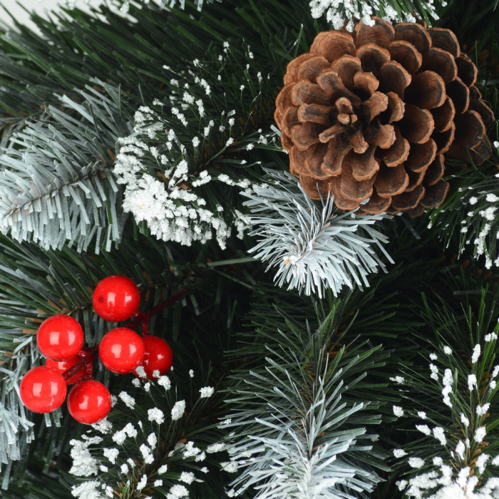 Brad Diamond Fir, 100 cm [2]