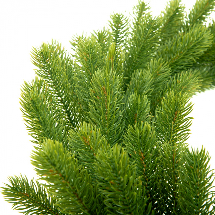 Ghirlanda Swierk PE Lux, verde, 200 cm [8]