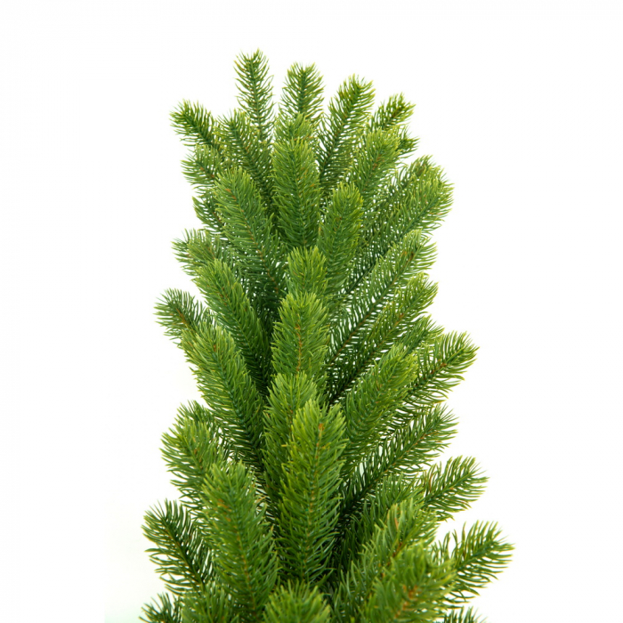 Ghirlanda Swierk PE Lux, verde, 200 cm [2]