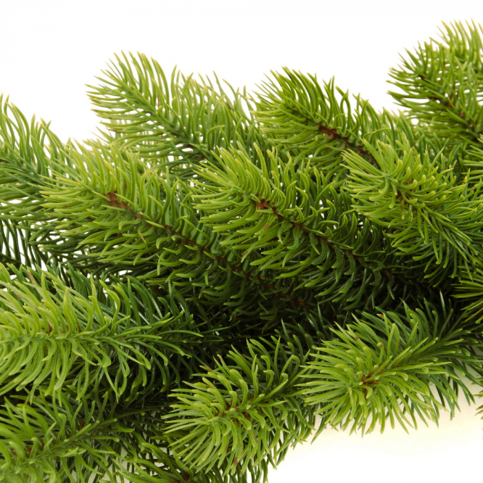 Ghirlanda Swierk PE, verde, 200 cm [5]
