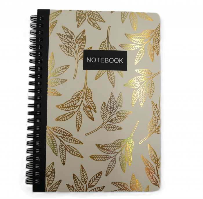notebook cu spirala [2]