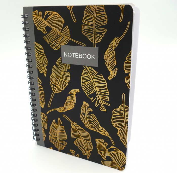 notebook cu spirala [6]