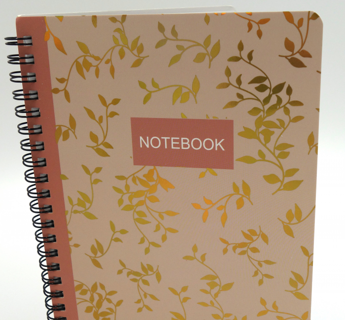notebook cu spirala [6]