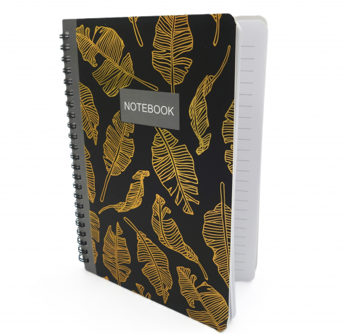 notebook cu spirala [1]