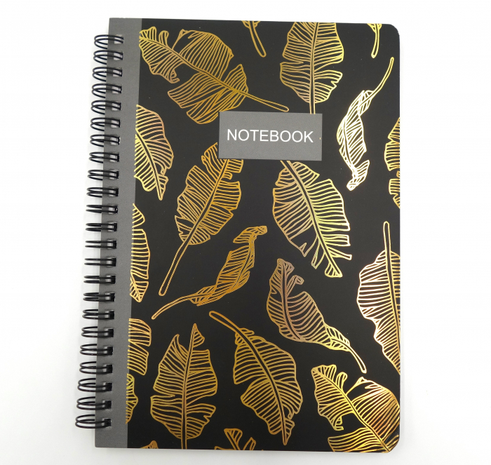 notebook cu spirala [3]