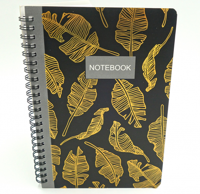 notebook cu spirala [5]
