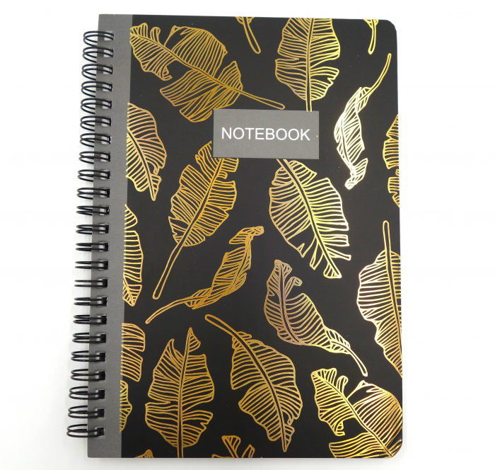 notebook cu spirala [2]