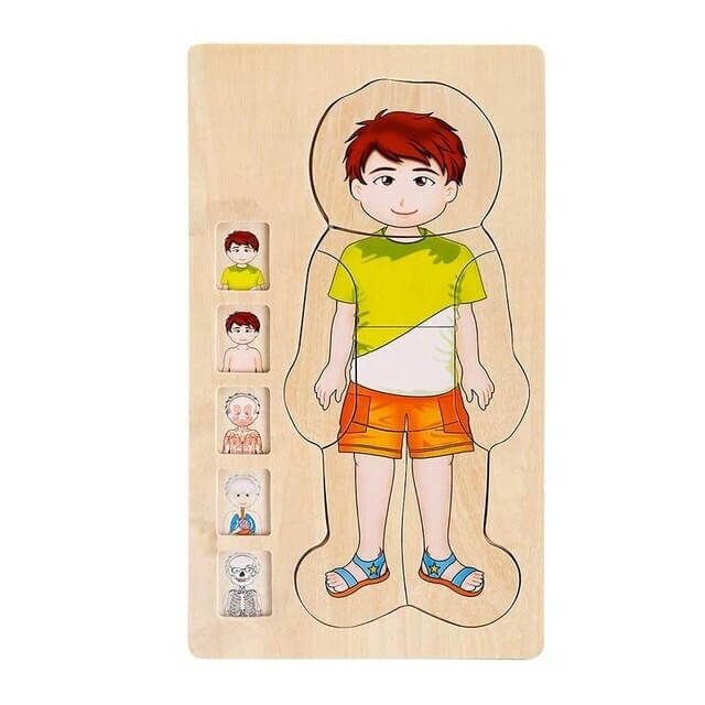 Puzzle Educativ din Lemn - Anatomia Corpului Uman (5 Straturi), model baiat [4]