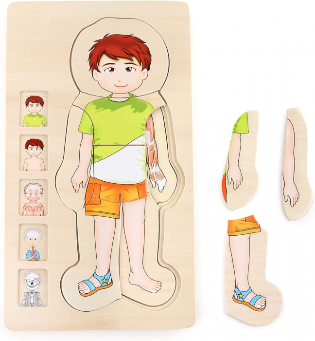 Puzzle Educativ din Lemn - Anatomia Corpului Uman (5 Straturi), model baiat [3]