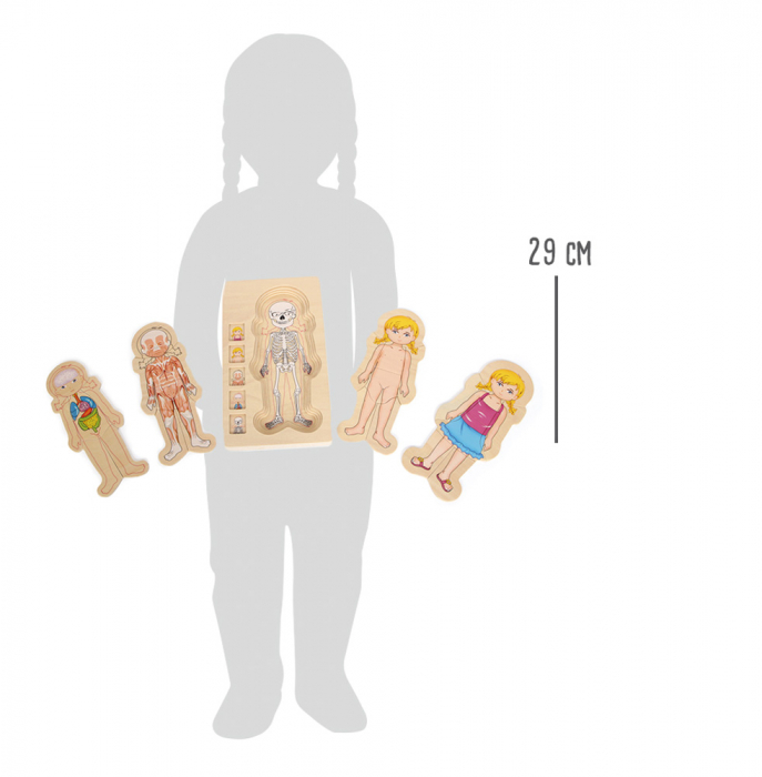 Puzzle Educativ din Lemn - Anatomia Corpului Uman (5 Straturi), model fetita [4]