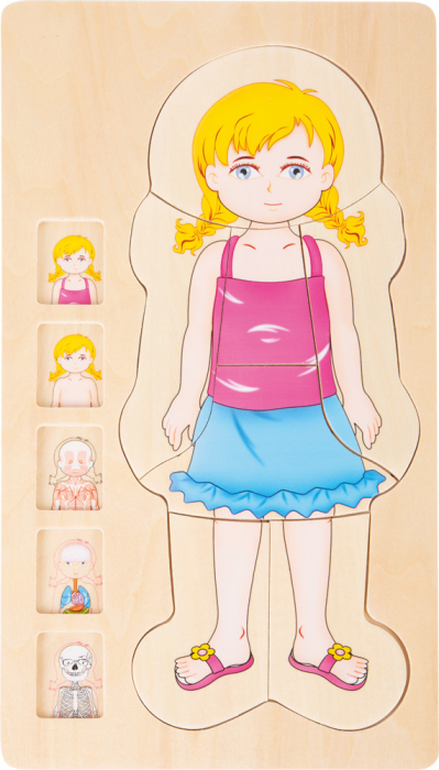 Puzzle Educativ din Lemn - Anatomia Corpului Uman (5 Straturi), model fetita [2]