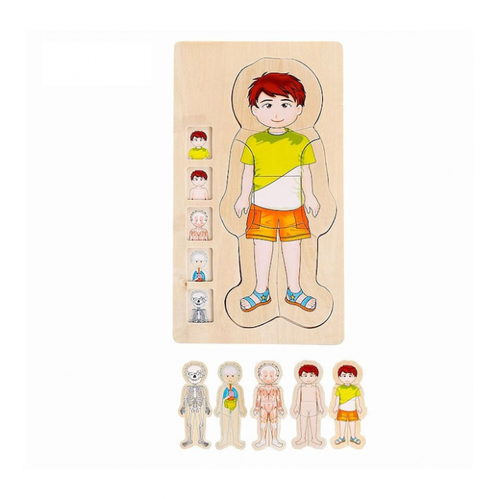 Puzzle Educativ din Lemn - Anatomia Corpului Uman (5 Straturi), model baiat [2]
