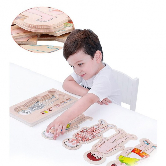 Puzzle Educativ din Lemn - Anatomia Corpului Uman (5 Straturi), model baiat [5]
