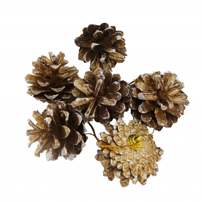 Set 6 conuri decorative pentru brad, 6 cm [1]