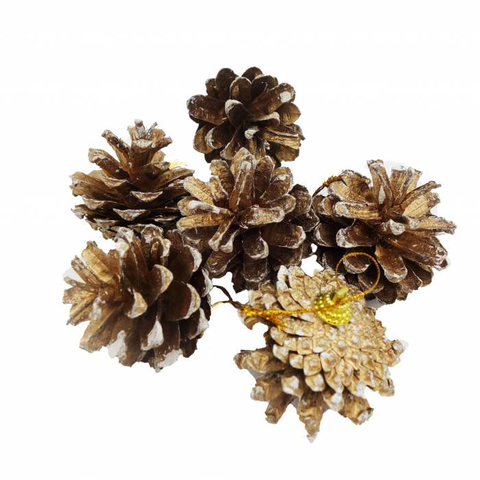 Set 6 conuri decorative pentru brad, 6 cm [2]