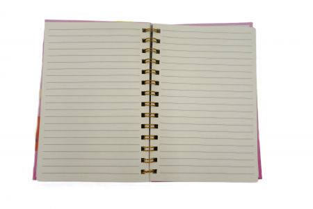Agenda cu spirala și model pop-it dinozaur, colorata, 20 cm [2]