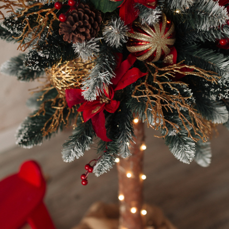 Brad Diamond Fir, 100 cm [3]