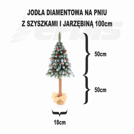 Brad Diamond Fir, 100 cm [7]