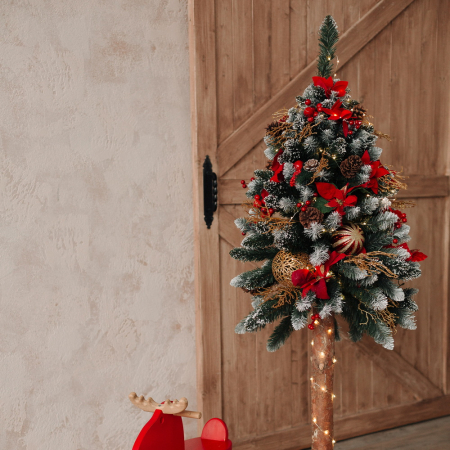 Brad Diamond Fir, 100 cm [6]