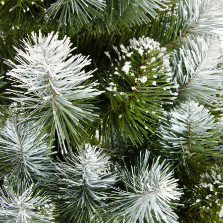 Brad Diamond Pine, 120 cm [2]