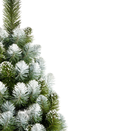 Brad Diamond Pine, 120 cm [1]