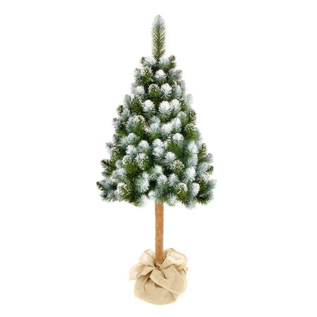 Brad Diamond Pine, 120 cm [6]
