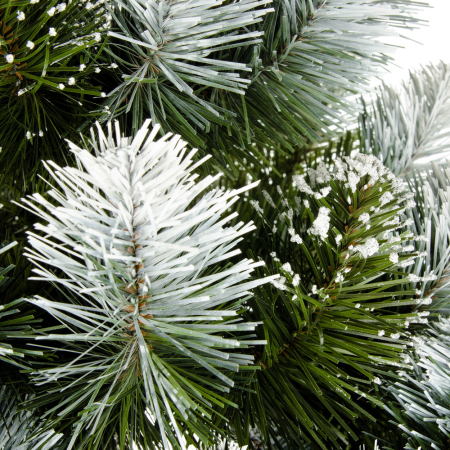 Brad Diamond Pine, 120 cm [5]