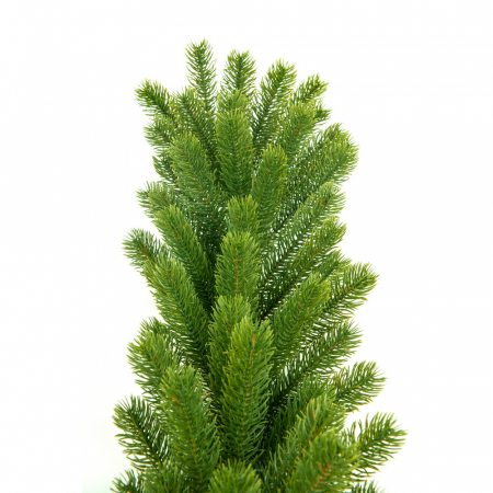 Ghirlanda Swierk PE Lux, verde, 200 cm [1]