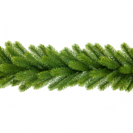 Ghirlanda Swierk PE Lux, verde, 200 cm [2]