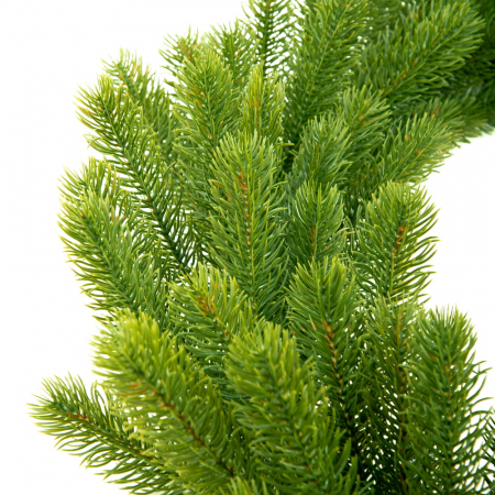 Ghirlanda Swierk PE Lux, verde, 200 cm [6]