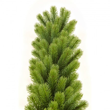 Ghirlanda Swierk PE, verde, 200 cm [1]