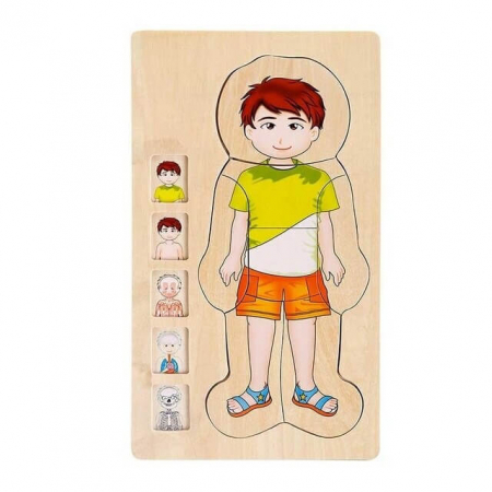 Puzzle Educativ din Lemn - Anatomia Corpului Uman (5 Straturi), model baiat [3]