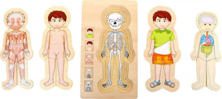 Jucarii educative - Puzzle Educativ din Lemn - Anatomia Corpului Uman (5 Straturi), model baiat
