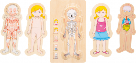 Jucarii educative - Puzzle Educativ din Lemn - Anatomia Corpului Uman (5 Straturi), model fetita