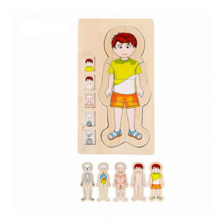 Puzzle Educativ din Lemn - Anatomia Corpului Uman (5 Straturi), model baiat [1]