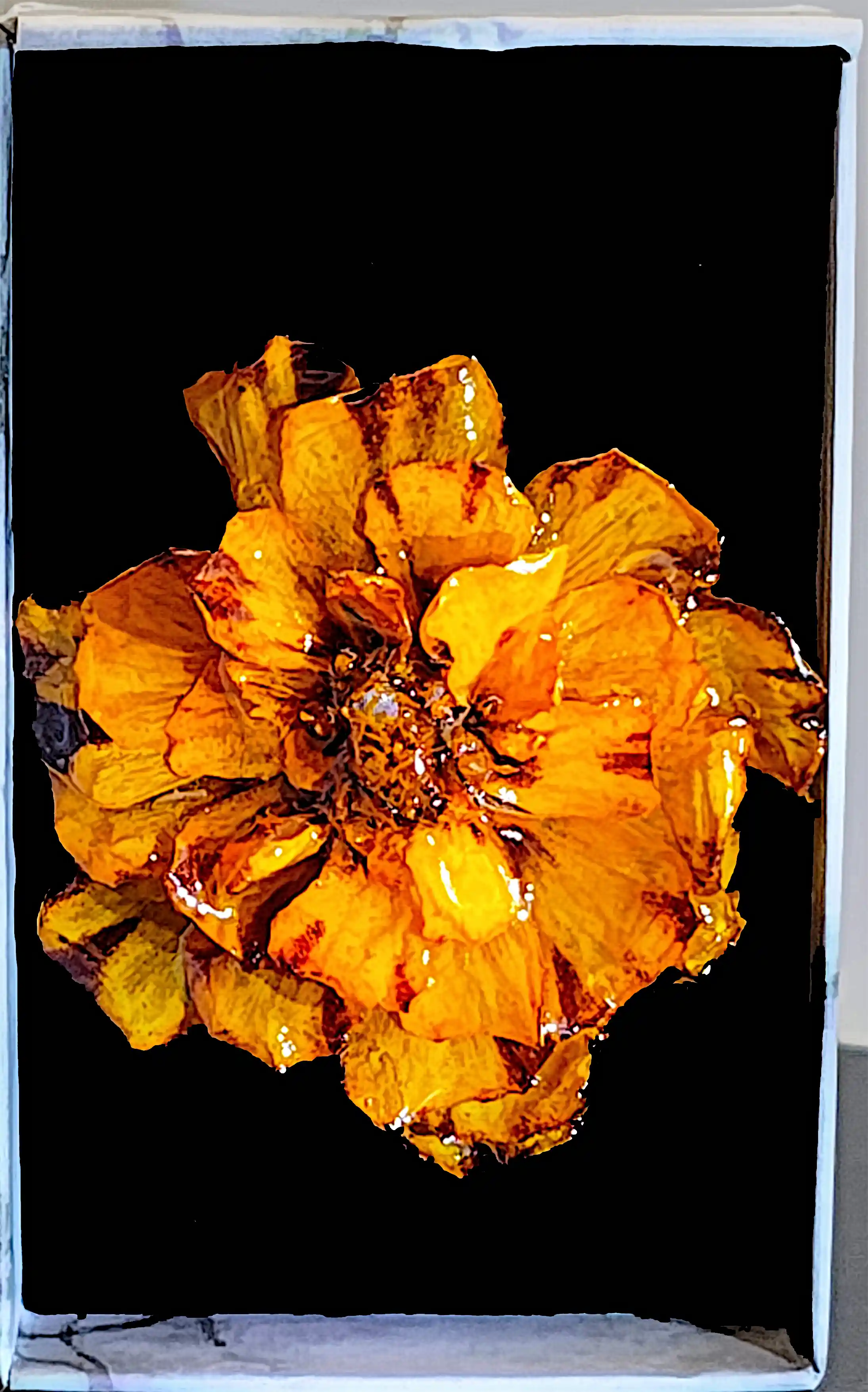 Broșă Handmade cu Floare Naturală  Crăiță Sigilată în Rășină – SM 181 | Selin Mode [2]