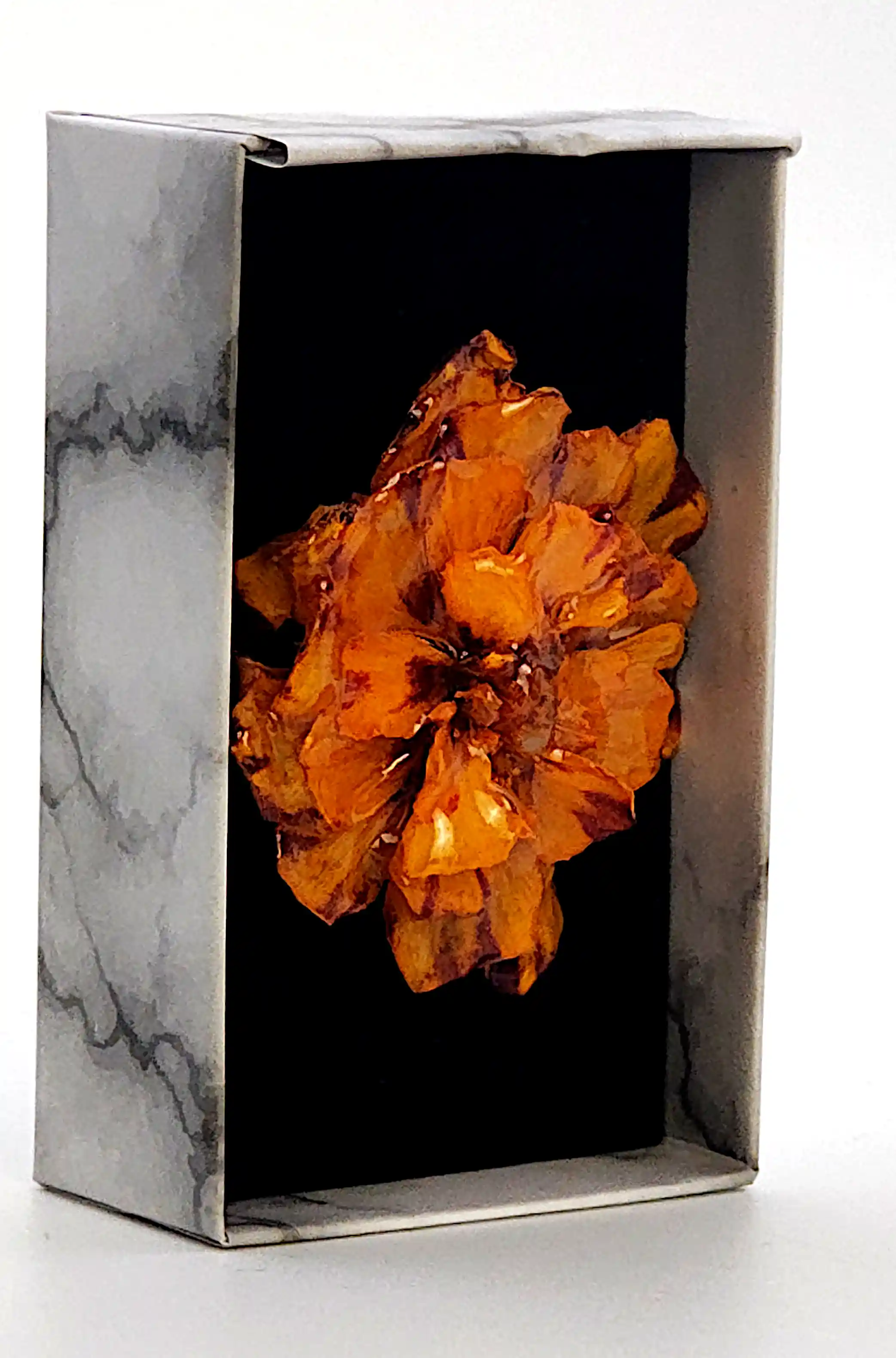 Broșă Handmade cu Floare Naturală  Crăiță Sigilată în Rășină – SM 181 | Selin Mode [3]