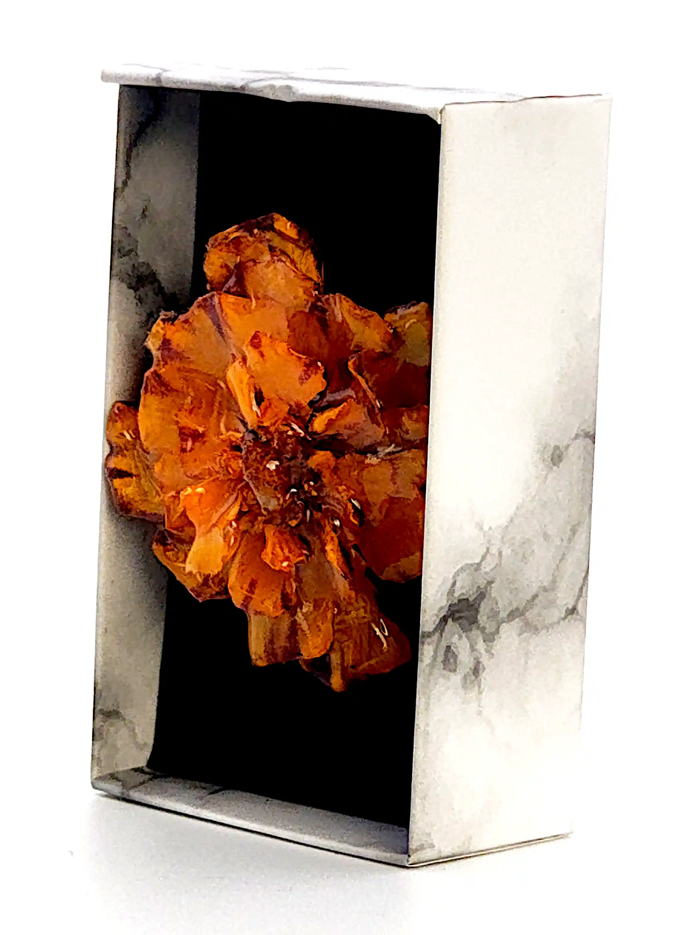 Broșă Handmade cu Floare Naturală  Crăiță Sigilată în Rășină – SM 181 | Selin Mode [1]