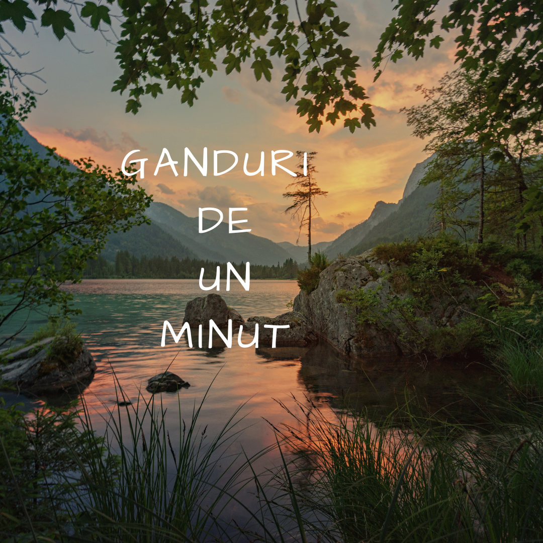 Ganduri de 1 minut