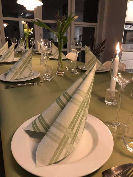 Rola fata de masa Linclass, Olive - oliv (maslinie) / 118 cm x 25 m / 1 buc [4]