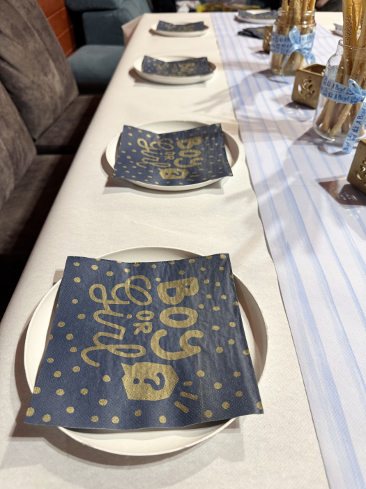 Servetele de masa 3 straturi - Boy or Girl / 33x33 cm / 20buc [2]