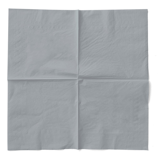 Servetele de masa 3 straturi, Tissue - Silver (Argintiu) / 40 x 40 cm / 100 buc [3]
