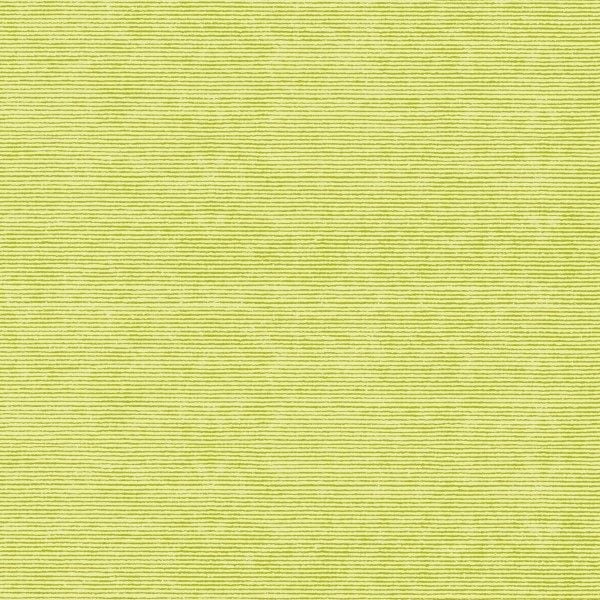 Servetele de masa festive gama Spanlin Bio (100% biodegradabile) - Dean Oliv (masliniu)/ 40 x 40 cm / 30 buc [3]