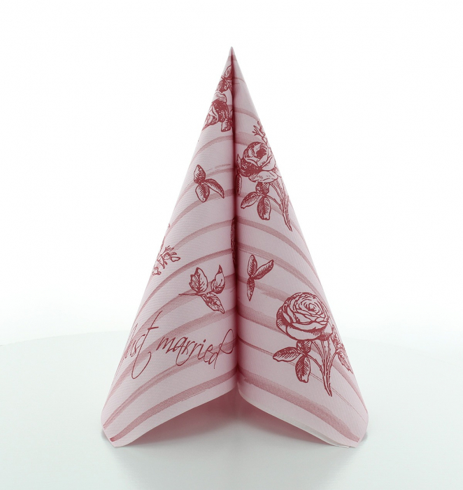 Servetele de masa festive Linclass - Just Married (servetele nunta/logodna) / 40 x 40 cm / 12 buc [3]