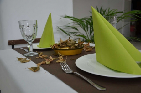 Servetele festive - TOAMNA - Servetele de masa festive Linclass-Light, Verde kiwi / 40 x 40 cm / 50 buc