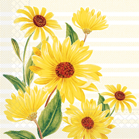 TEMATICA FLORALA - Servetele de masa, 3 straturi, Tissue - Marlene / 40 x 40 cm / 100 buc