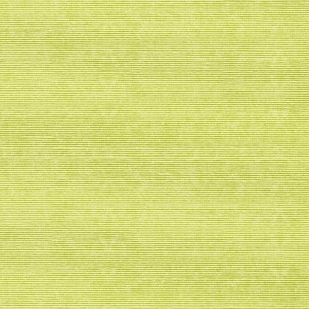 Servetele de masa festive gama Spanlin Bio (100% biodegradabile) - Dean Oliv (masliniu)/ 40 x 40 cm / 30 buc [2]