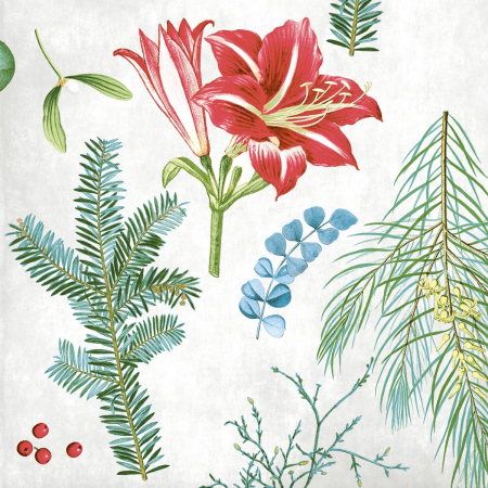 Servetele de masa festive Linclass pentru Revelion/Anul Nou Linclass - Amaryllis / 40 x 40 cm / 50 buc [8]
